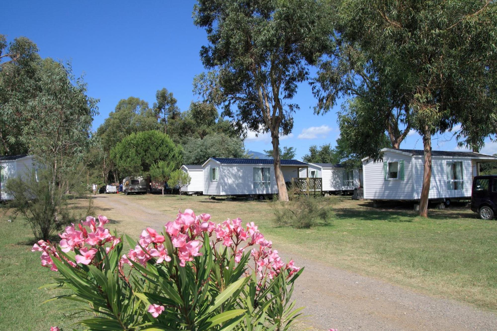 Camping Miami Plage Hotel Poggio Mezzana Eksteriør billede