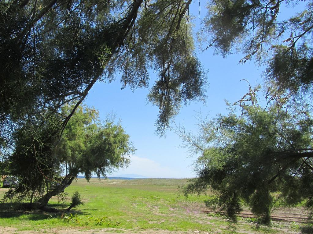 Camping Miami Plage Hotel Poggio Mezzana Eksteriør billede