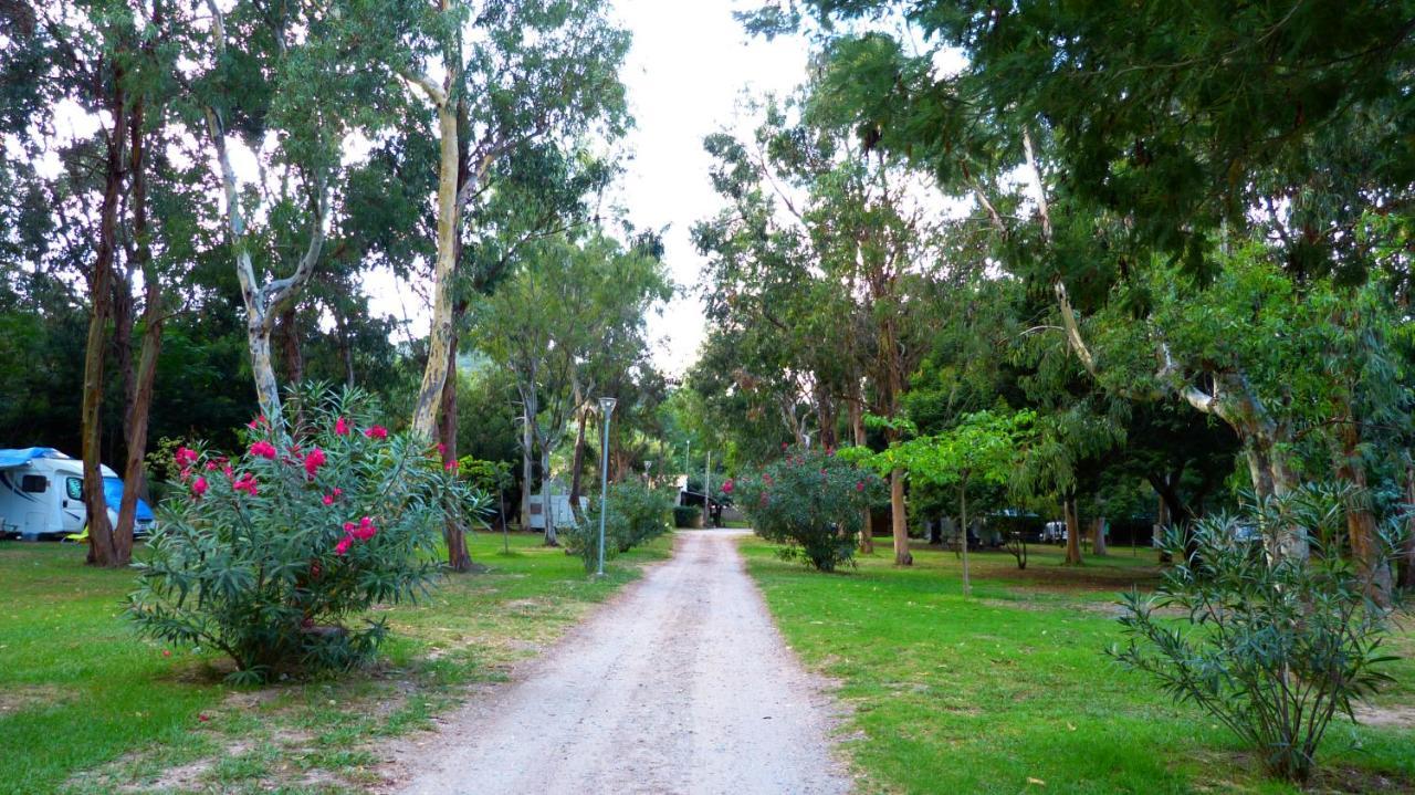 Camping Miami Plage Hotel Poggio Mezzana Eksteriør billede
